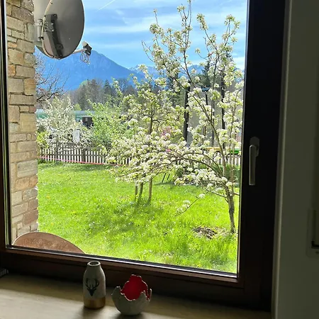 Strohmeyer Апартаменты